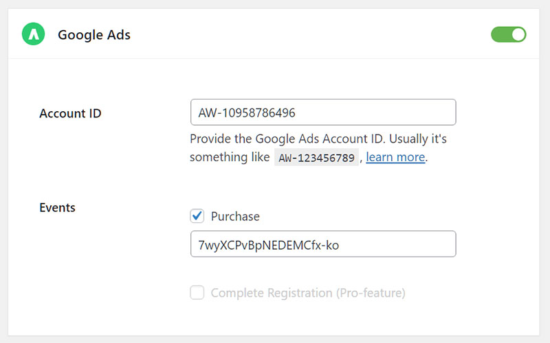 Plugin Wordpress theo dõi chuyển đổi quảng cáo Google Ads & Facebook Ads
